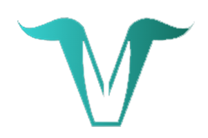 VastWealth