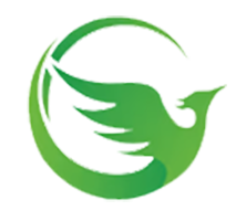 PhoenixTB